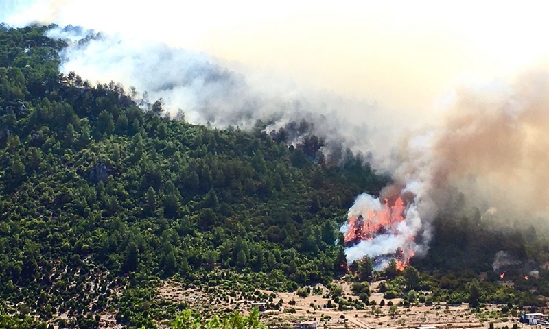 A forest fire burns near the town of Manavgat, east of the resort city of Antalya, Turkey, July 31, 2021.(Photo: Xinhua)
