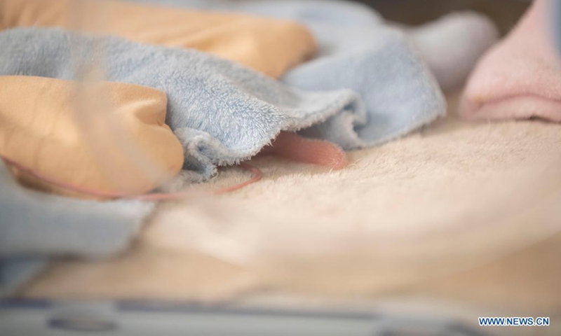 Part of a newly born giant panda cub is seen under a blanket at the Beauval Zoo in Saint-Aignan, central France, Aug. 2, 2021. Huan Huan gave birth to twin cubs early Monday, announced the zoo. (Beauval Zoo/Handout via Xinhua)