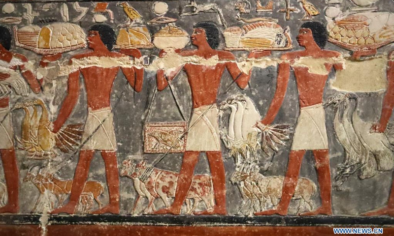 Photo taken on Aug. 3, 2021 shows a colored relief painting inside a high official tomb in Saqqara district, south of Cairo, Egypt. The Saqqara area about 30 kilometers south of Cairo is home to numerous pyramids and a number of beautifully decorated mastaba tombs, in which many colored relief paintings depicting ancient Egyptian daily life are preserved. (Photo: Xinhua)