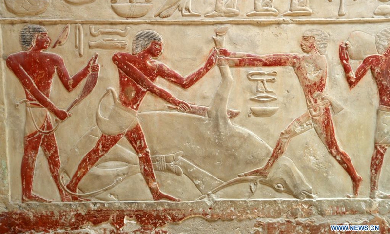 Photo taken on Aug. 3, 2021 shows a colored relief painting inside a high official tomb in Saqqara district, south of Cairo, Egypt. The Saqqara area about 30 kilometers south of Cairo is home to numerous pyramids and a number of beautifully decorated mastaba tombs, in which many colored relief paintings depicting ancient Egyptian daily life are preserved. (Photo: Xinhua)