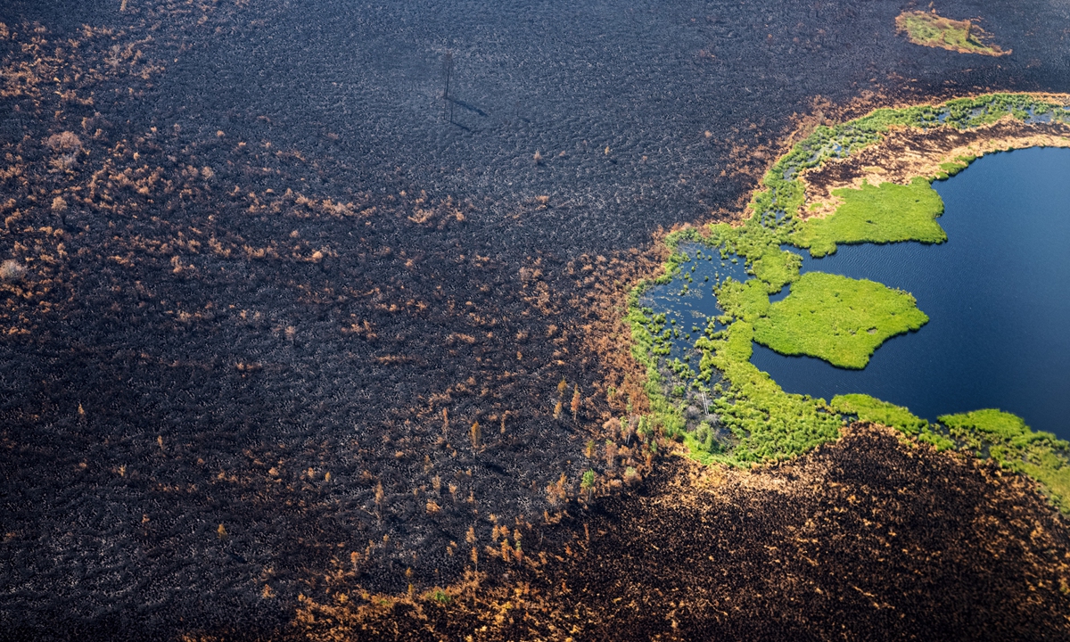 This aerial picture taken on July 27 shows a burned forest at Gorny Ulus area, west of Yakutsk, Siberia, Russia. Photo: AFP