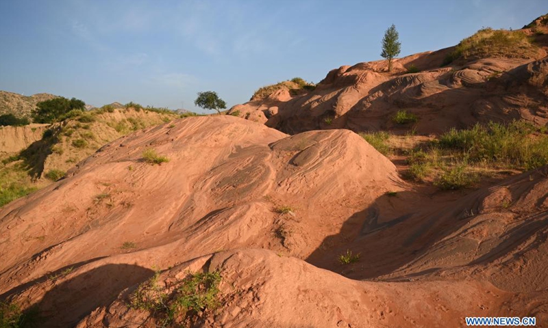 Aerial photo taken on Aug. 6, 2021 shows the Danxia landform, a landscape characterized by reddish sandstone features, in sunrise in Longzhou Town of Jingbian County, northwest China's Shaanxi Province.Photo:Xinhua