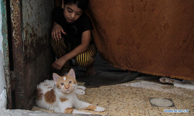 Members of Abu al-Khair family take care of a cat inside their house at Al-Shati refugee camp in Gaza City, on Aug. 8, 2021. Abu al-Khair family turned their home into a shelter to help stray cats in need, despite their difficult living conditions.(Photo: Xinhua)