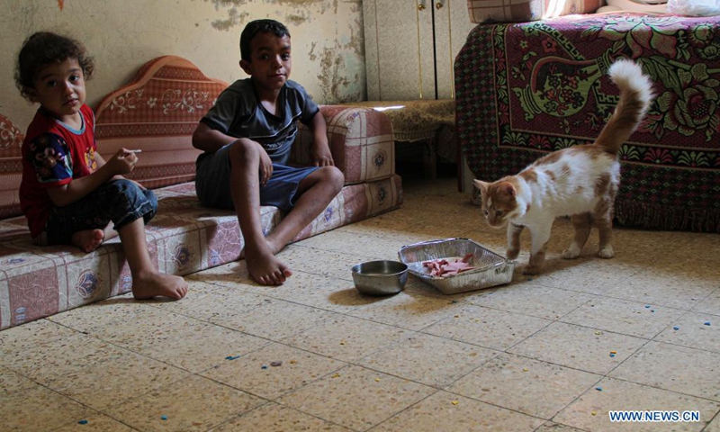 Members of Abu al-Khair family take care of a cat inside their house at Al-Shati refugee camp in Gaza City, on Aug. 8, 2021. Abu al-Khair family turned their home into a shelter to help stray cats in need, despite their difficult living conditions(Photo: Xinhua)