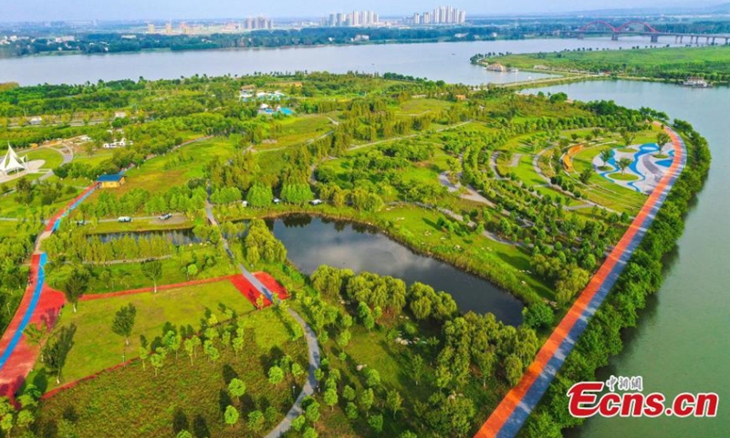 Yuliangzhou, an economic development zone in the central of Xiangyang City, is planted with lawn and green trees, Xiangyang, Hubei Province, August 10, 2021. (Photo/ Yang Dong) 

Xiangyang has launched several ecological restoration projects in recent years, which improves the ecosystem in Yuliangzhou. It is now served as a multifunction zone for residents to enjoy vacations, have short-term travel, or hold athletic activities.
