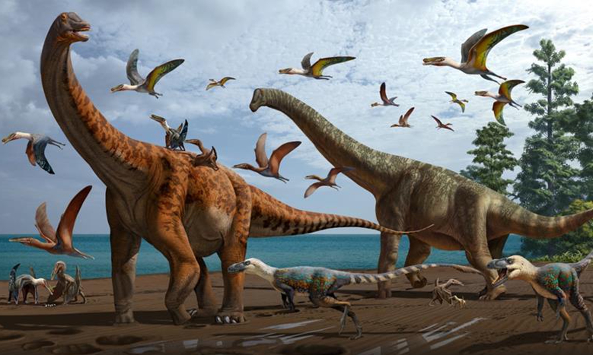 Photo: Courtesy of Chinese Academy of Sciences' Institute of Vertebrate Paleontology and Paleoanthropology