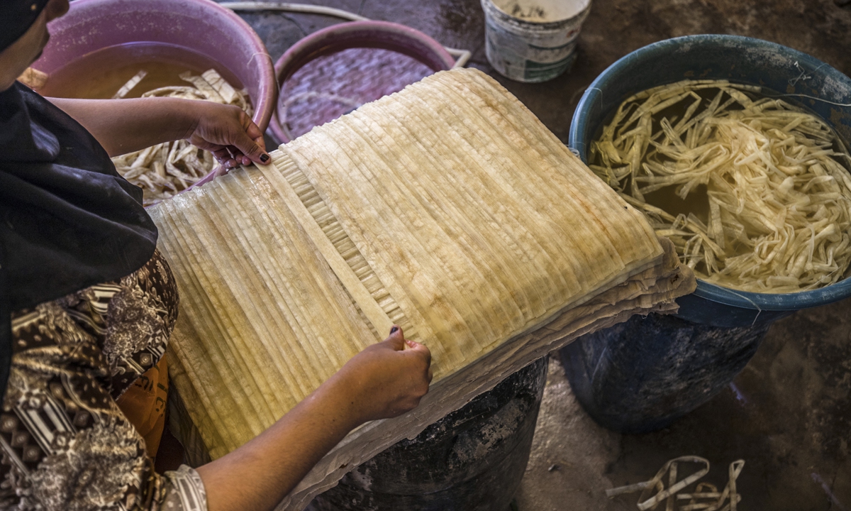 A woman lays out soaked thin strips of papyrus to form a sheet, before compression and drying at the workshop in the village of Al-Qaramus in Egypt on July 28. Photo: AFP
