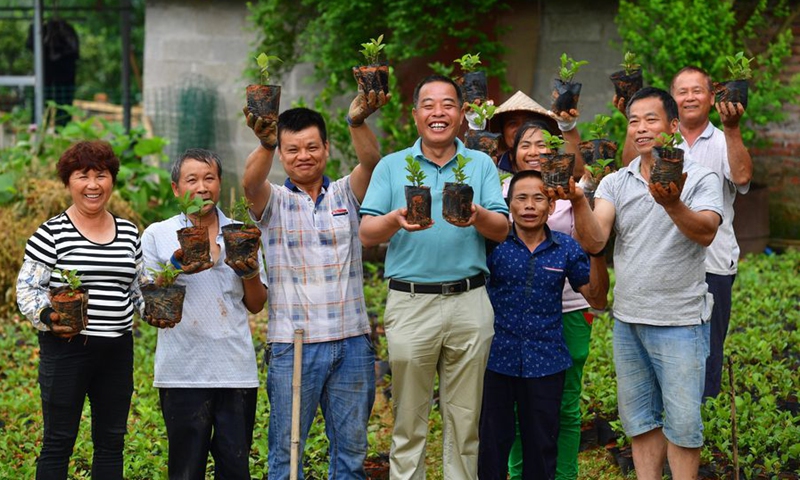 Villagers of a camellia planting cooperative pose for a group photo at Gumu Village in Luzhai County of Liuzhou City, south China's Guangxi Zhuang Autonomous Region, May 10, 2020.(Photo: Xinhua)