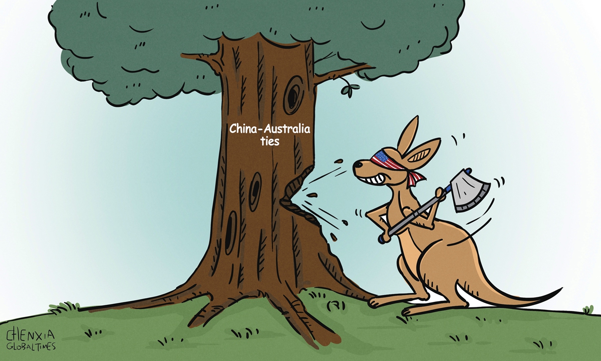 China-Australia ties Illustration: Chen Xia/GT