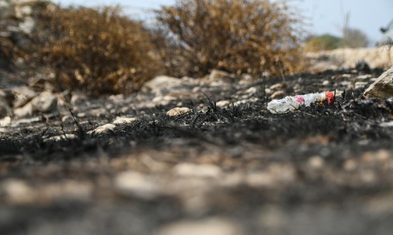 Photo taken on Aug. 12, 2021 shows burned bushes after a wildfire caused by high temperature in Siggiewi, Malta. Malta was hit by a heatwave which has swept across the Mediterranean Sea.Photo:Xinhua