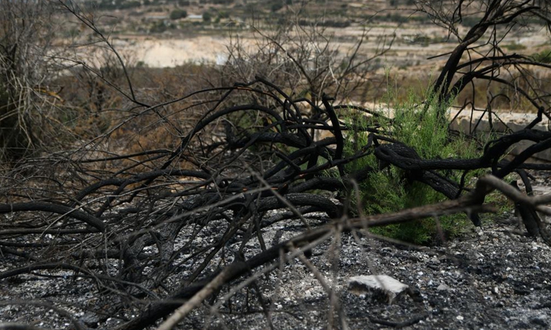 Photo taken on Aug. 12, 2021 shows burned bushes after a wildfire caused by high temperature in Siggiewi, Malta. Malta was hit by a heatwave which has swept across the Mediterranean Sea.Photo:Xinhua
