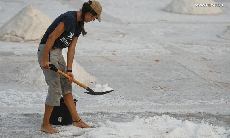 A woman harvests salt in a salt pan in Salina, Malta, on Aug. 12, 2021. Photo:Xinhua