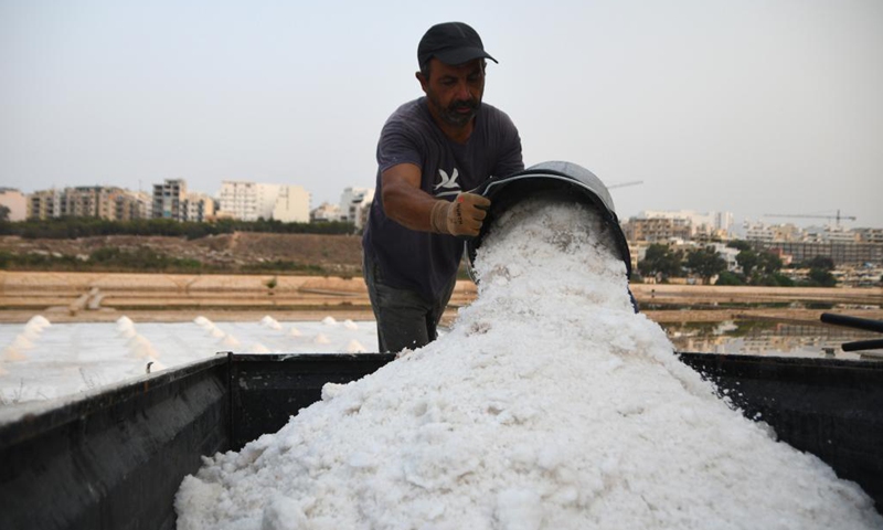 A man pours salt into a van in a salt pan in Salina, Malta, on Aug. 12, 2021.Photo:Xinhua