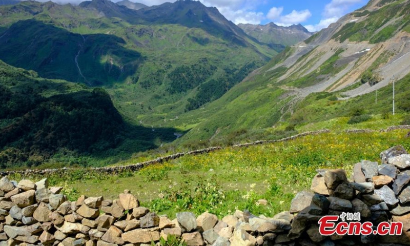 Photo taken in August 2021 shows the charming scenery of Yumai Township in Shannan, southwest China's Tibet Autonomous Region, in late summer. (Photo: China News Service/Jiang Feibo)
