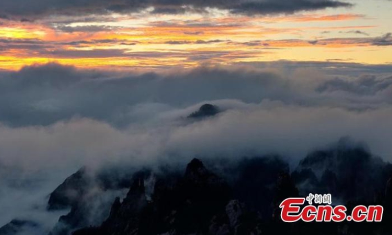 2021 年 8 月 15 日，中国东部安徽省雨后的黄山，随着夕阳的余辉照亮了天空，雾气和云海笼罩着黄山，形成了闪闪发光的景色。  （图：中新社/谢飞）