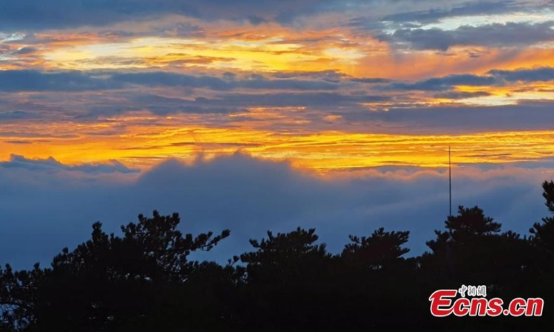 As the sky is illuminated by the sunset glow, mist and sea of clouds shroud Mount Huangshan after rain in east China's Anhui Province, Aug. 15, 2021, forming a glittering scenery. (Photo: China News Service/Xie Fei)

