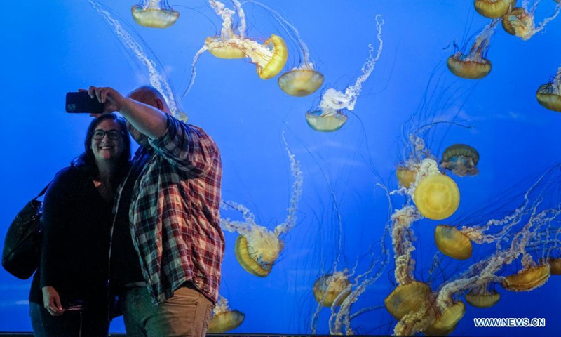 Visitors take selfies in front of a jellyfish tank at the Vancouver Aquarium in Vancouver, British Columbia, Canada, on Aug. 16, 2021. The Vancouver Aquarium reopened to the public on Monday after being closed for more than a year due to the COVID-19 pandemic. (Photo by Liang Sen/Xinhua)