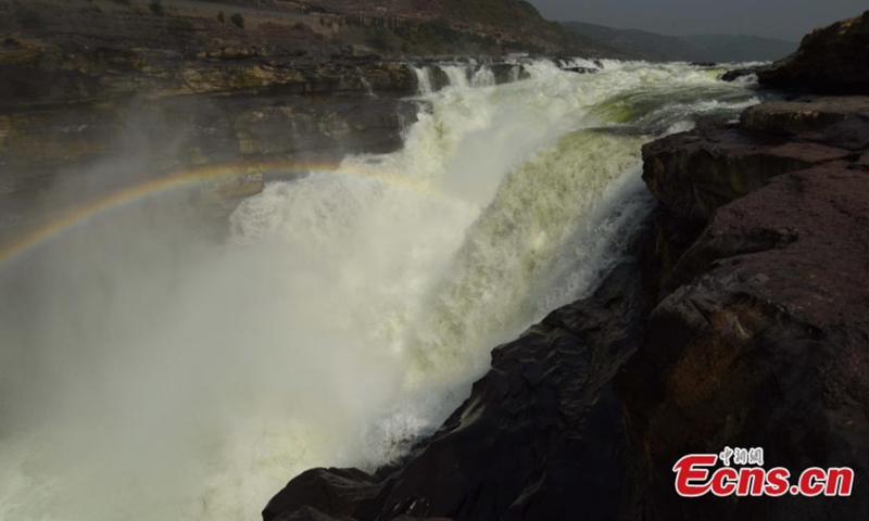 The color of Hukou Waterfall of the Yellow River turns into crystal green in Jixian County, Linfen City, north China's Shanxi Province, August 14, 2021. Drought and lack of rain in the upper reaches of the Yellow River slowed the river's flow and turned the water green. (Photo: China News Service/Lu Guiming)
