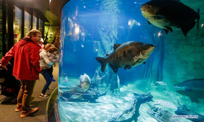 Visitors look at fishes in a water tank at the Vancouver Aquarium in Vancouver, British Columbia, Canada, on Aug. 16, 2021. The Vancouver Aquarium reopened to the public on Monday after being closed for more than a year due to the COVID-19 pandemic. (Photo by Liang Sen/Xinhua)