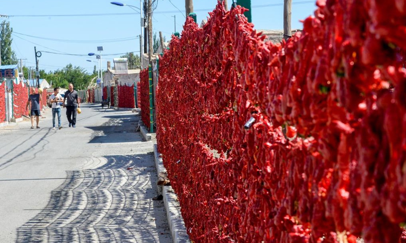 Red peppers are seen along a road in Santanghu Town of Kazak Autonomous County of Barkol, northwest China's Xinjiang Uygur Autonomous Region, Aug. 19, 2021.Photo:Xinhua