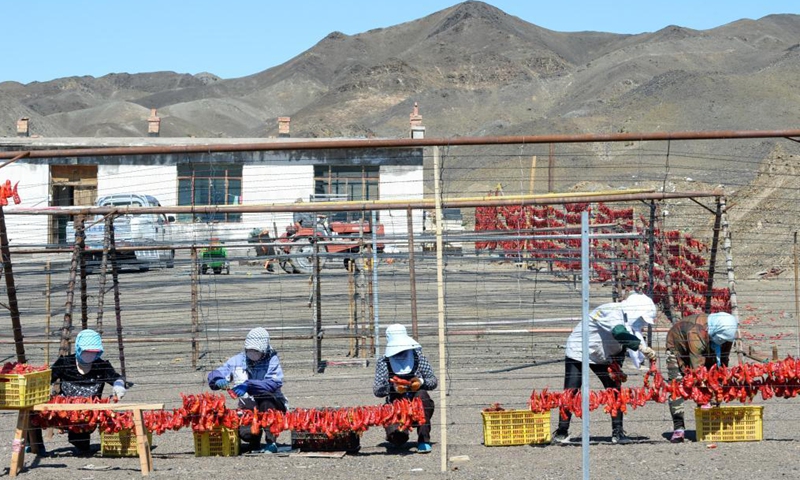 Villagers hang red peppers for drying in Santanghu Town of Kazak Autonomous County of Barkol, northwest China's Xinjiang Uygur Autonomous Region, Aug. 19, 2021.Photo:Xinhua