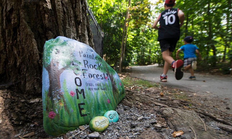 Painted rocks are seen on the Pheasant Run Trail in Mississauga, Ontario, Canada, on Aug. 22, 2021. With lots of colorful painted rocks, the trail attracts people to explore this summer.(Photo: Xinhua)