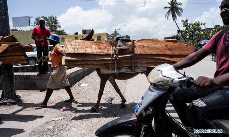 Photo taken on Aug. 21, 2021 shows people transporting wood in Les Cayes, Haiti.(Photo: Xinhua)