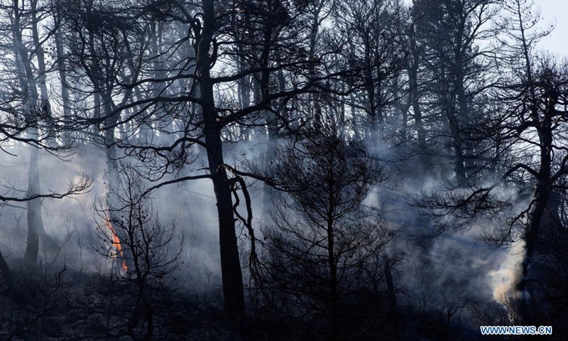 A forest is seen burning in Vilia to the northwest of Athens, Greece, on Aug. 23, 2021. A new wildfire broke out here on Monday, burning in thick forest land.(Photo: Xinhua)