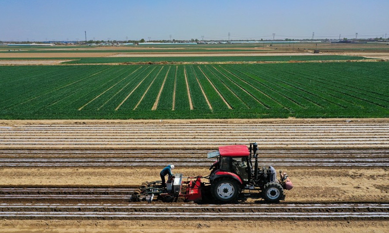 Aerial photo shows farmers sowing at a peanut farm in Yangjiatuo Village of Luanzhou City in North China's Hebei Province, April 18, 2021. Photo: Xinhua