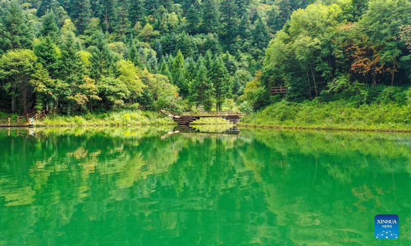 Aerial photo taken on Aug. 26, 2021 shows the scenery of Zedang Lake at Guan'egou national forest park in Dangchang County of Longnan City, northwest China's Gansu Province.Photo:Xinhua