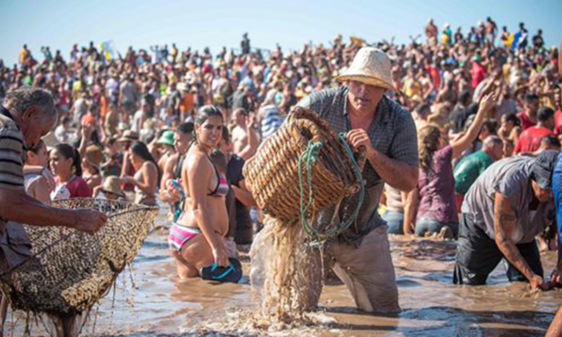 Around 20,000 people race into the lagoon of Puerto de la Aldea, Spain, to gather as many fish as they can with their hands and old baskets. Photos: Desiree Martin/VCG