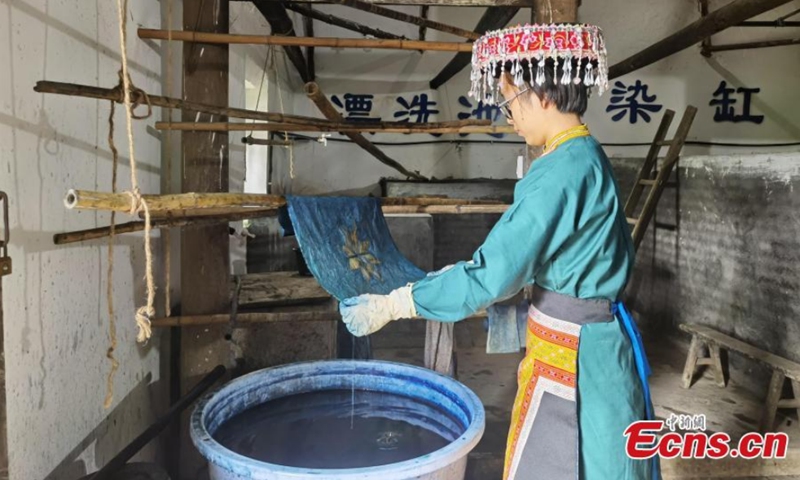 A Miao painting woman places the waxed fabric in a designated color plant dyeing solution to color the fabric, Jianzhu Intangible Cultural Heritage Experience Base, Gulin County, Luzhou City, Sichuan Province, Aug. 30, 2021. Photo: CNSPhoto