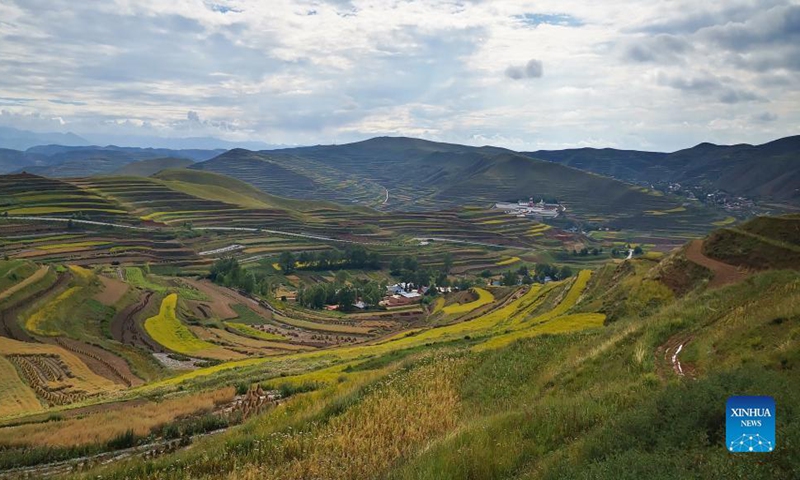 Cellphone photo taken on Aug. 31, 2021 shows the terraced fields in Lintan County of Gannan Tibetan Autonomous Prefecture, northwest China's Gansu Province. Photo: Xinhua