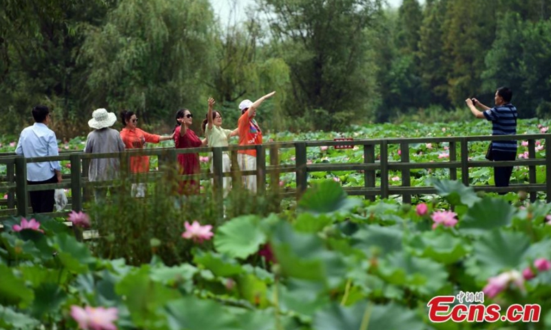 People take photos at the Lotus flowers bloomed place in Yuniaohe Park in Yantai City, Shandong Province, Aug. 30, 2021. Photo: CNSPhoto