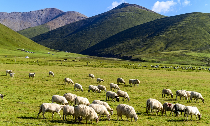 Qilian Mountains Photo: VCG