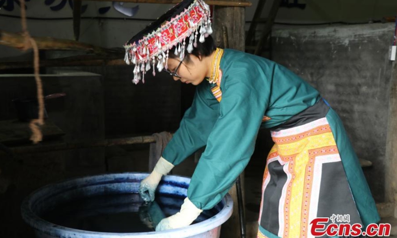 A Miao painting woman places the waxed fabric in a designated color plant dyeing solution to color the fabric, Jianzhu Intangible Cultural Heritage Experience Base, Gulin County, Luzhou City, Sichuan Province, Aug. 30, 2021. Photo: CNSPhoto