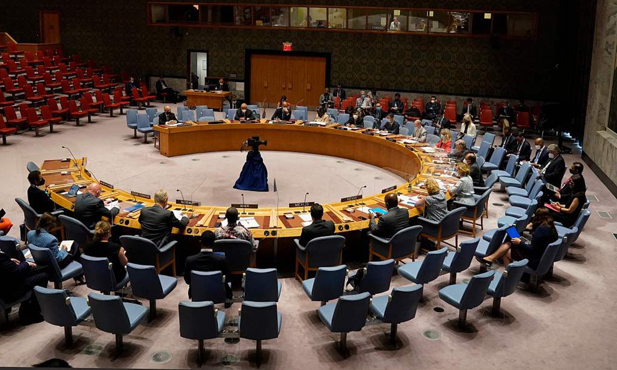 UN Security Council file photo:VCG