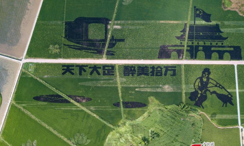 Aerial photo shows the magnificent rice paddy art pictures in Dazu District, Chongqing Municipality, Aug. 31, 2021.Photo: CNSPhoto
