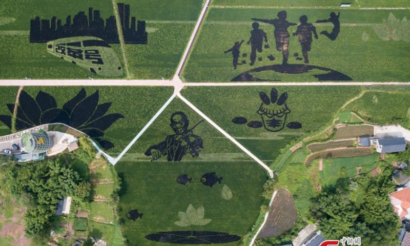 Aerial photo shows the magnificent rice paddy art pictures in Dazu District, Chongqing Municipality, Aug. 31, 2021.Photo: CNSPhoto