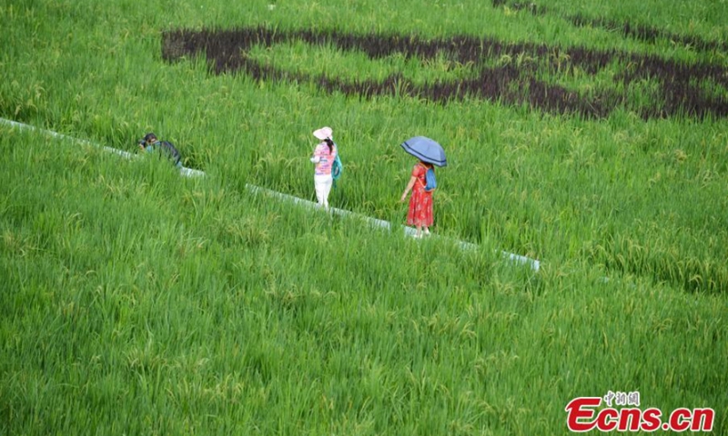 Visitors have fun at the scenic area in Dazu District, Chongqing Municipality, Aug. 31, 2021.Photo: CNSPhoto