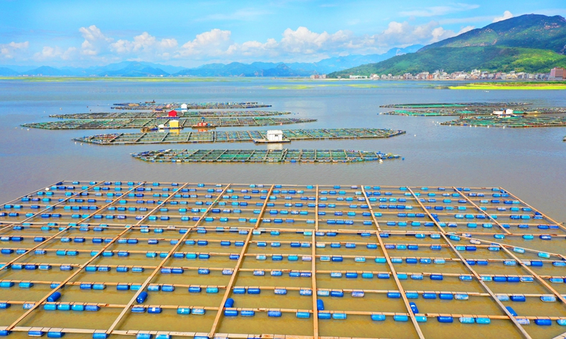 Rafts for oyster cultivation are seen in Wugen county, East China's Zhejiang Province on September 7, 2021. Wugen farmers have taken advantage of the 28,000 mu (1,867 hectares) of shallow beach and mudflats to breed fish, shrimp, shellfish, algae, crabs and other marine products, which has increased farmers' income and formed a modern fishery industry zone. Photo: VCG
