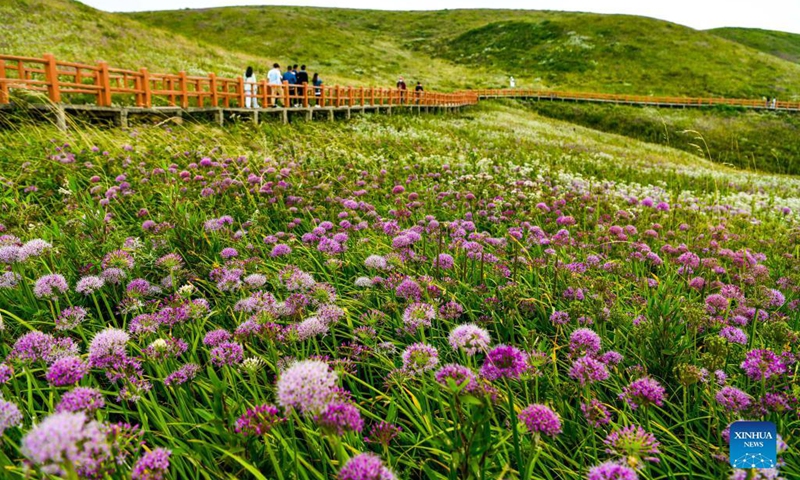 Tourists visit a scenic spot in Hezhang County of Bijie, southwest China's Guizhou Province, Sept. 3, 2021. Hezhang County, featuring beautiful natural scenery and distinctive culture, has ramped up efforts in improving tourism facilities and boosting tourism industry in recent years. Tourism development of the county has given impetus to its rural revitalization. Statistics show that the county has received 4.34 million visitor trips from January to August this year. (Xinhua/Yang Wenbin) 