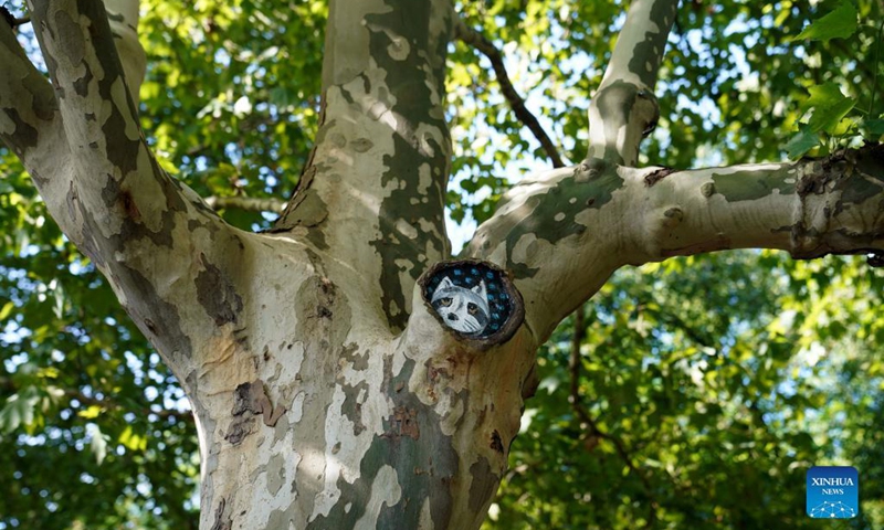 A painted tree hole is seen at Zhabei Park in Shanghai, east China, Aug. 31, 2021. Zhabei Park recently made an effort to improve its appearance by cleaning and beautifying tree holes in the park with creative patterns. (Xinhua/Wang Xiang) 
