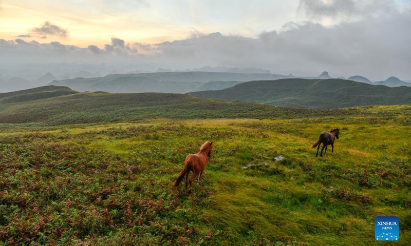 A sunrise view is seen at a scenic spot in Hezhang County, southwest China's Guizhou Province, Sept. 4, 2021. Hezhang County, featuring beautiful natural scenery and distinctive culture, has ramped up efforts in improving tourism facilities and boosting tourism industry in recent years. Tourism development of the county has given impetus to its rural revitalization. Statistics show that the county has received 4.34 million visitor trips from January to August this year. (Xinhua/Yang Wenbin) 