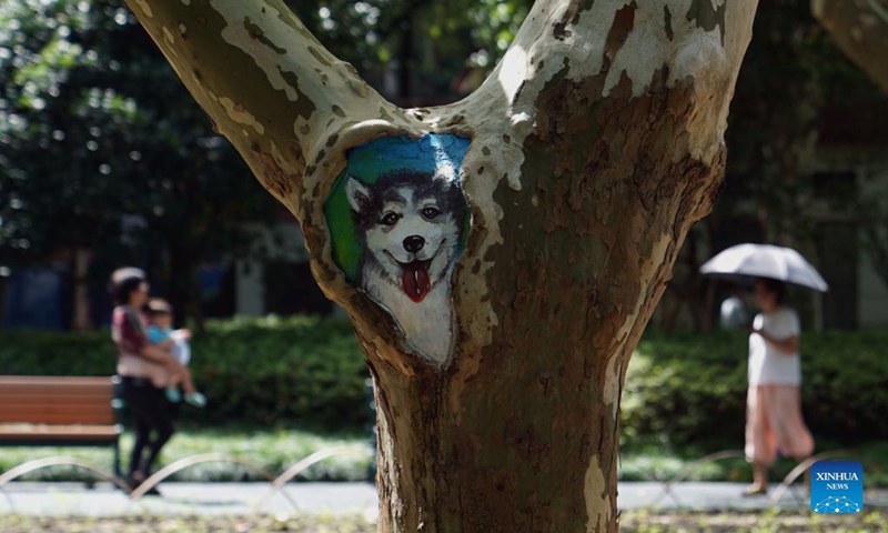 A painted tree hole is seen at Zhabei Park in Shanghai, east China, Aug. 31, 2021. Zhabei Park recently made an effort to improve its appearance by cleaning and beautifying tree holes in the park with creative patterns. (Xinhua/Wang Xiang) 