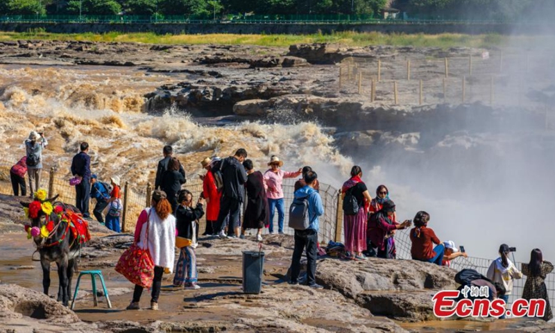 A giant, roaring torrent carrying a large amount of yellow sediment has created a spectacular early autumn scene at Hukou Waterfall, Yellow River in Qinjin Valley. Photo: CNSphoto