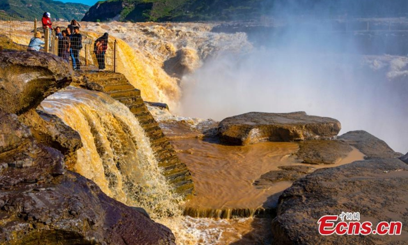 A giant, roaring torrent carrying a large amount of yellow sediment has created a spectacular early autumn scene at Hukou Waterfall, Yellow River in Qinjin Valley. Photo: CNSphoto