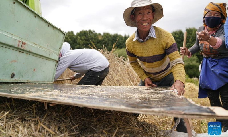 Farmers harvest highland barley at Kere Village of Dagze District, Lhasa, capital of southwest China's Tibet Autonomous Region, Sept. 6, 2021.(Photo: Xinhua)