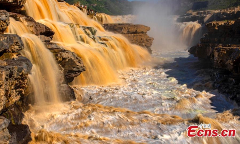A giant, roaring torrent carrying a large amount of yellow sediment has created a spectacular early autumn scene at Hukou Waterfall, Yellow River in Qinjin Valley. Photo: CNSphoto