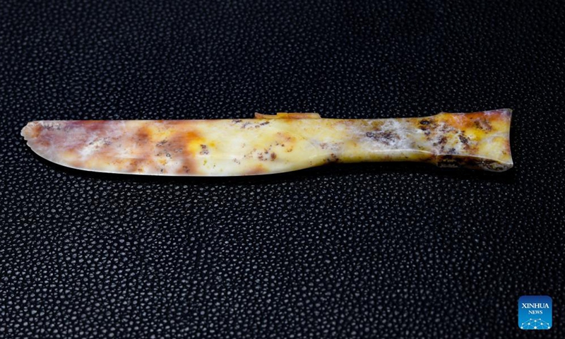 Photo taken on Sept. 3, 2021 shows a jade knife discovered at the No. 6 sacrificial pit of the Sanxingdui Ruins site in southwest China's Sichuan Province. More than 500 pieces of relics have been discovered in recent months at the legendary Sanxingdui Ruins site, dazzling archaeologists with their historical value as well as the display of creativity and ingenuity. Photo: Xinhua 
